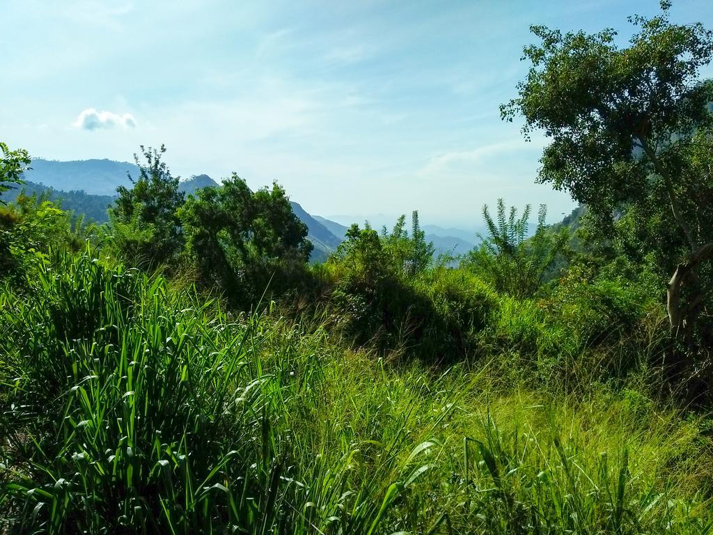 Village View Homestay Элла Экстерьер фото